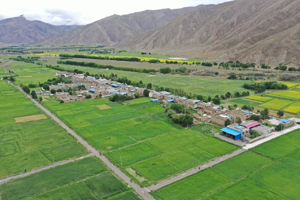 DJI_0041.jpg