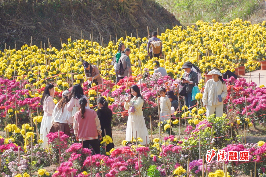 微信图片_20241111105702.jpg