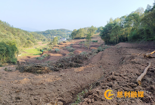 c21366ea-4eb0-484c-a1e8-2c165ad336b2_副本.jpg