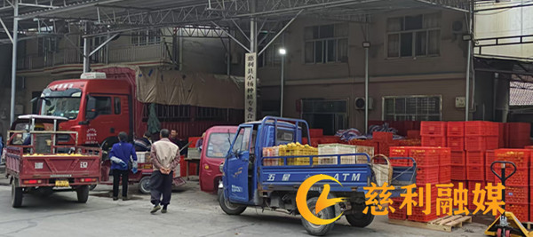 e525df20a2ca9ca90241acb404fb2ee_副本.jpg e525df20a2ca9ca90241acb404fb2ee_副本.jpg