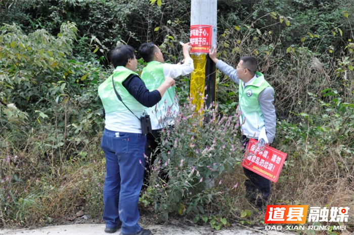 道县：为留鸟生存守护为候鸟迁徙护航3_副本.png