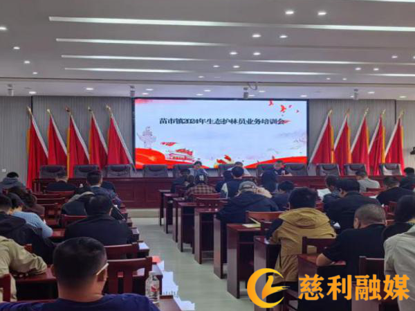 图片1_副本_副本.png