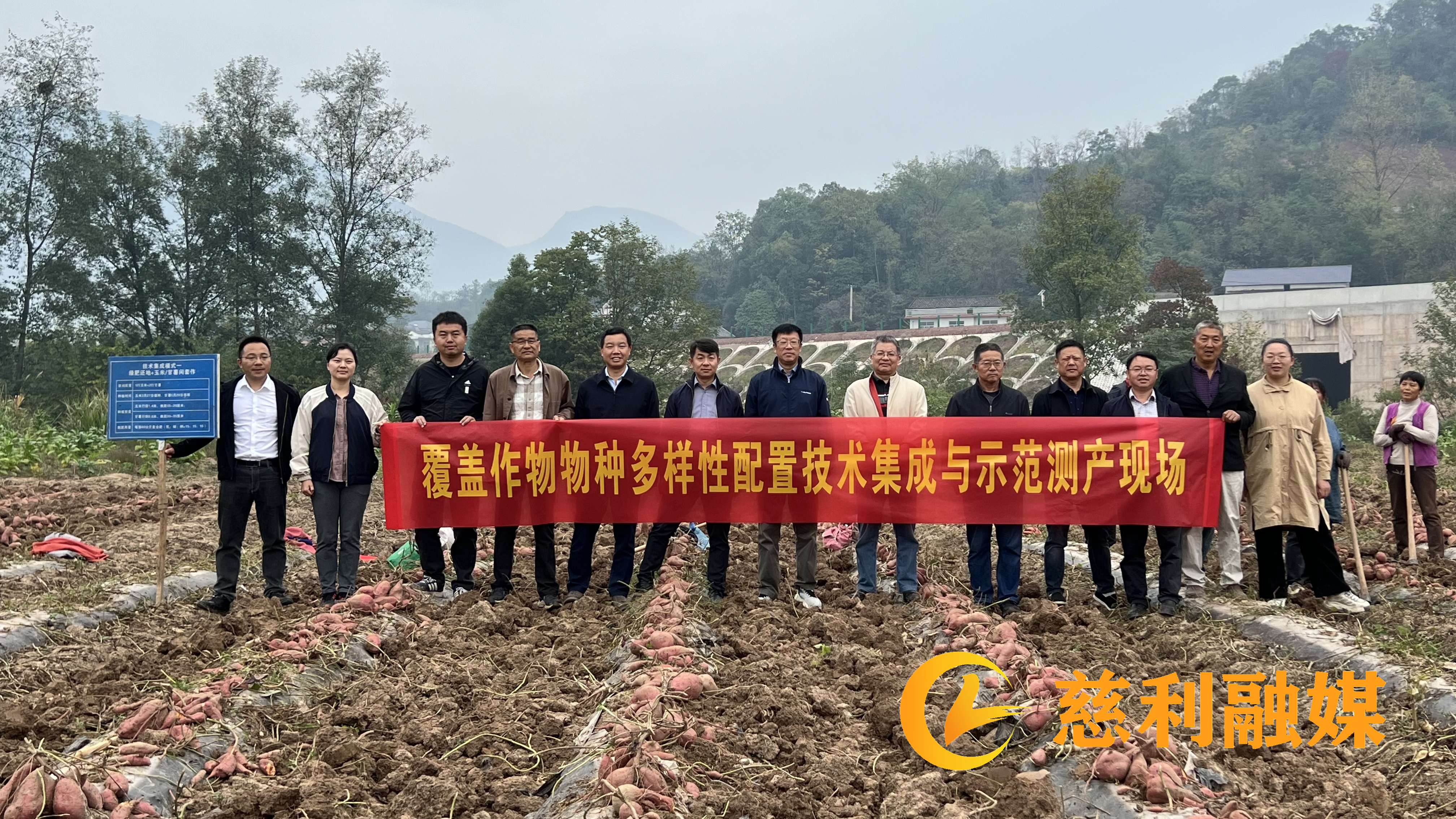 高效套作模式促丰收 一地双收节本又增效_副本.jpg