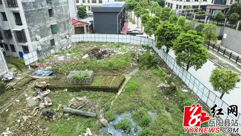 城南集贸市场前身.jpg