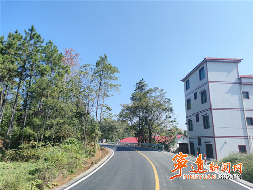 宁远：“砍青除障”消隐患 公路“颜值”再提升_副本_副本500.jpg