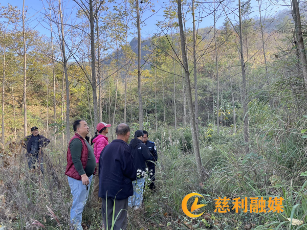 9f0884064c7af58dba075a128e3c50b_副本.png