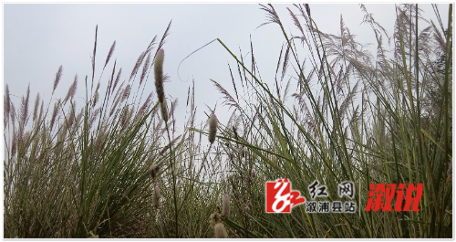 微信图片_20241118150939.jpg