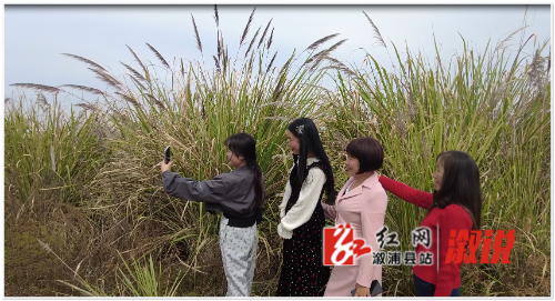 微信图片_20241118151152.jpg