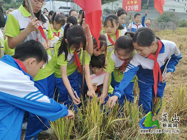 传承红色基因 不负时代使命一一塔峰镇第四完小举行主题党员活动2.jpg