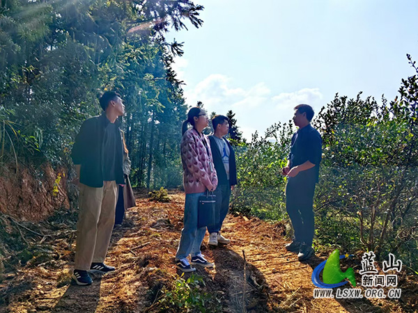 蓝山：一线监督规范“小微权力”运行.jpg