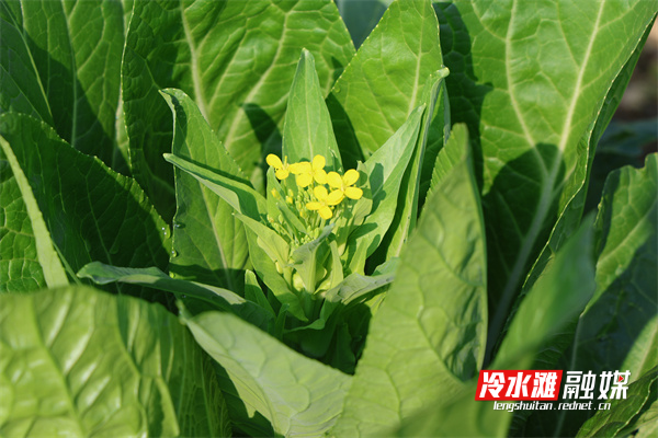 微信图片_20241119152510.jpg