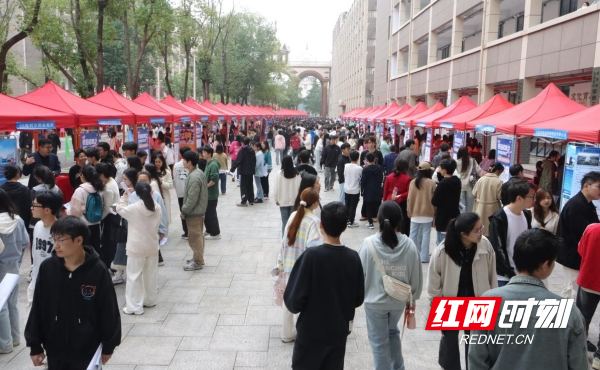 微信截图_20241118162515.png