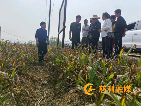 图片(162).png