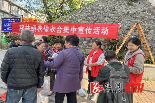 图片1_副本.png