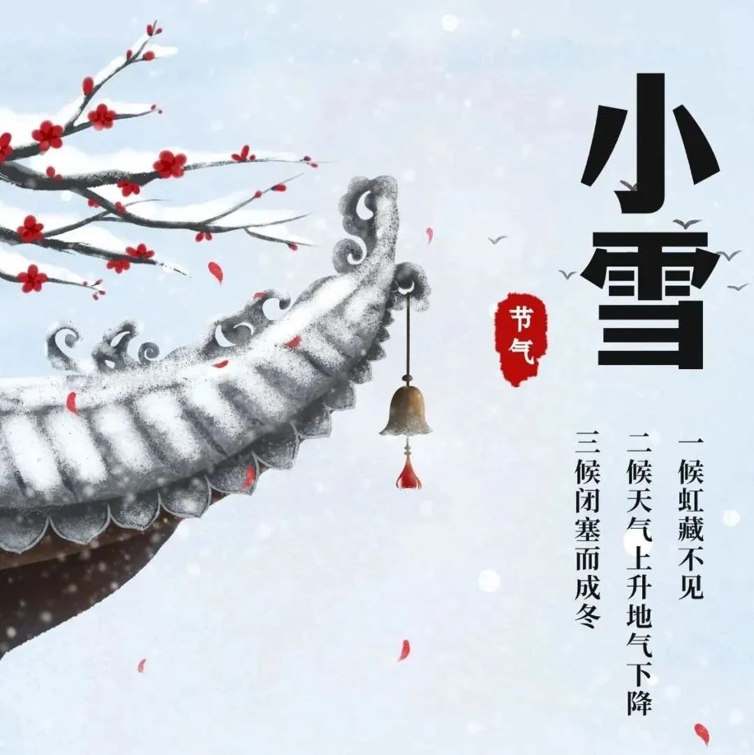 健康科普｜今日小雪，养生重在防寒养肾暖阳，务必记住这些要点，安然过冬！