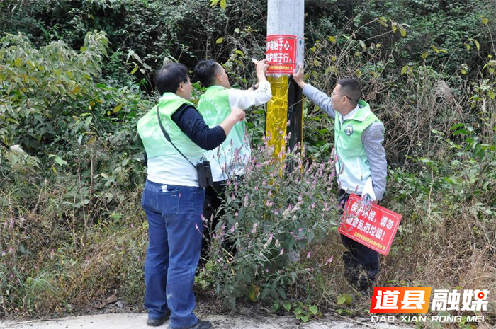 道县多方联动保护候鸟迁徙安全2_副本.png