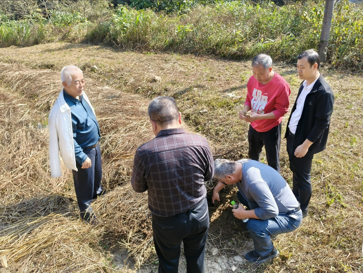 西瑶乡人大 代表助力永久基本农田图斑整改，守护耕地红线图片1.png