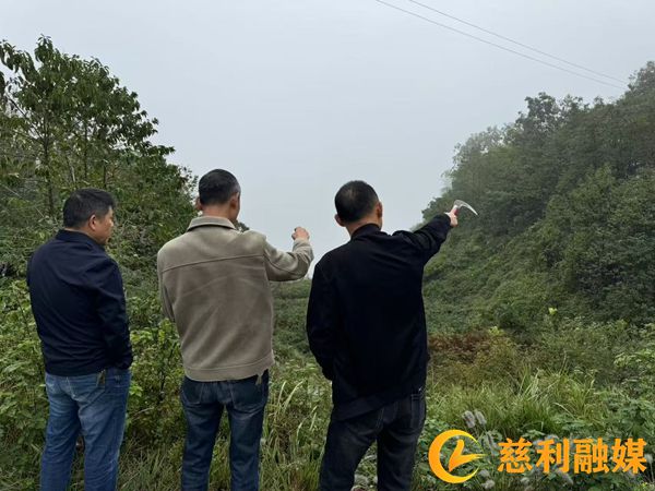 微信图片_20241126083349_副本.jpg