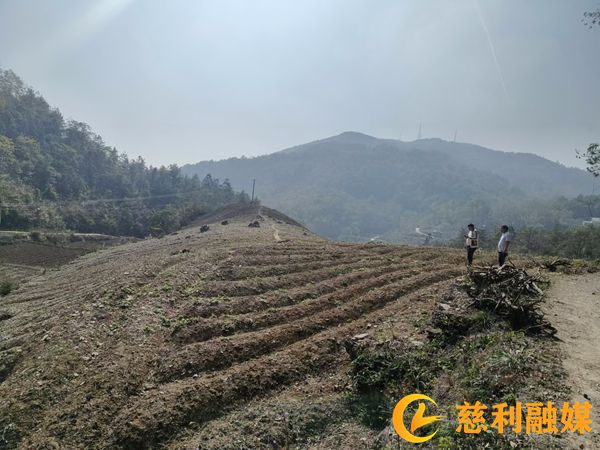 微信图片_20241126083344_副本.jpg