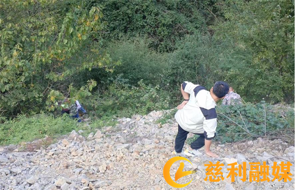 图片3_副本1.png