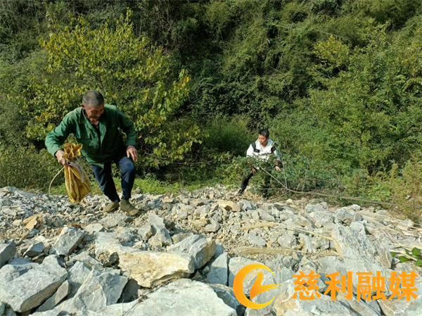 图片2_副本1.png