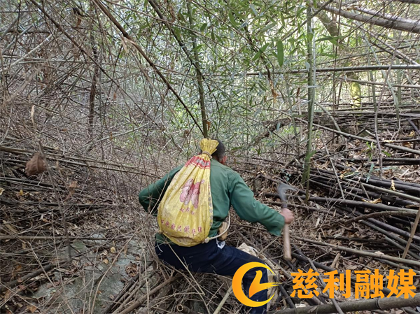图片1_副本1.png