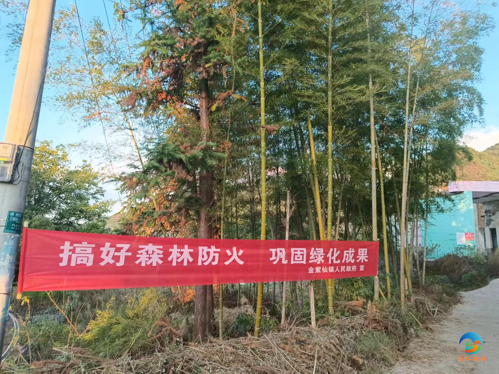 森林防火4.jpg