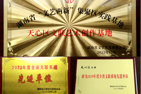 天心区文学艺术界联合会第二次代表大会1037.png