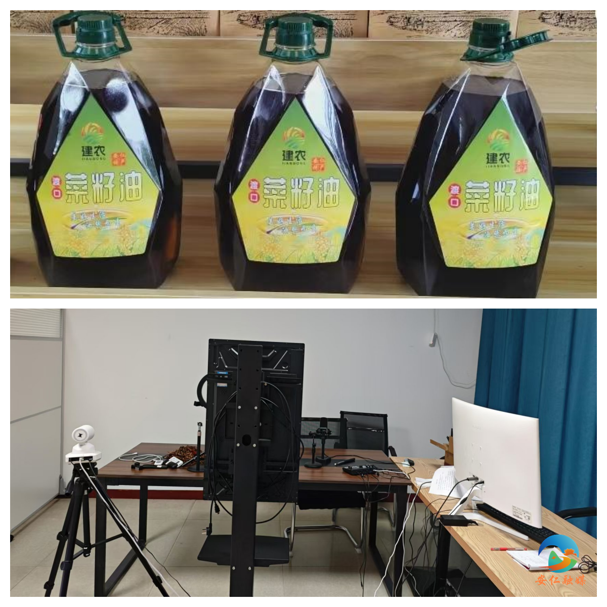 图片13_副本.png