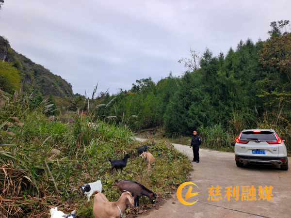 0f150de5480378c3465c8466d48d67a_副本_副本.png