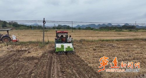 宁远：“农闲田”变“效益田” 油菜机械化移栽助力农业发展_副本500.jpg