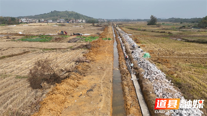 道县：全村“小田并大田” “碎地”连片不荒一块田3_副本.jpg