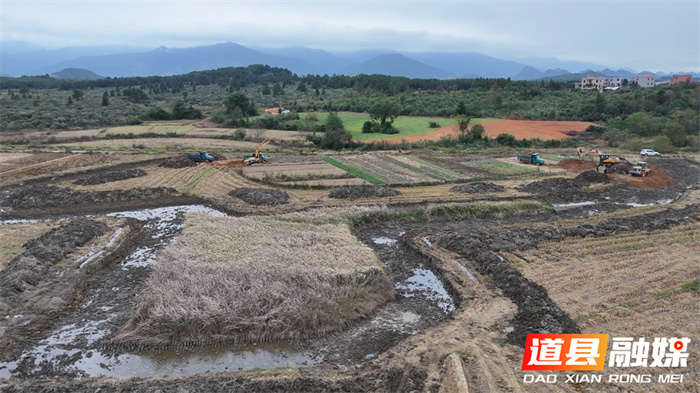 道县：全村“小田并大田” “碎地”连片不荒一块田7_副本.jpg