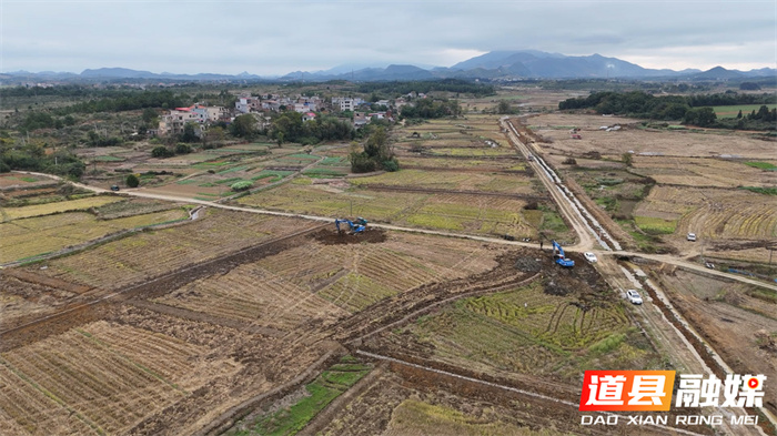 道县：全村“小田并大田” “碎地”连片不荒一块田6_副本.jpg