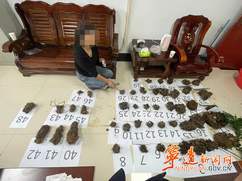 宁远公安破获一起危害国家重点保护植物案_副本500.jpg