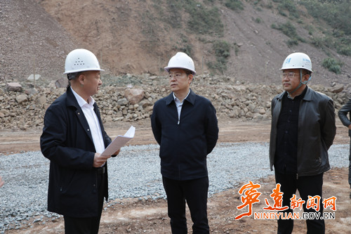 胡勇刚深入清水桥镇、鲤溪镇调研_副本500.jpg