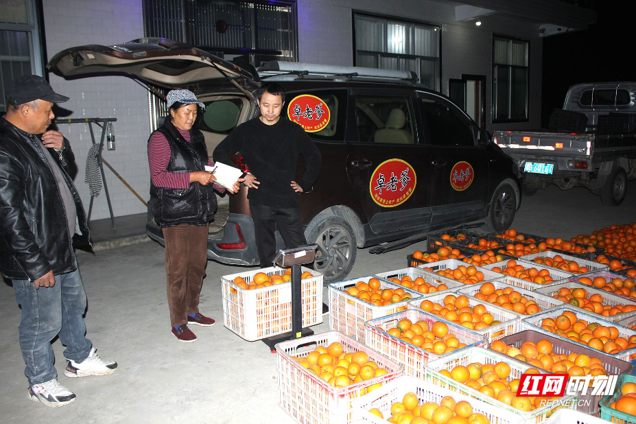 IMG_7524.JPG IMG_7524.JPG