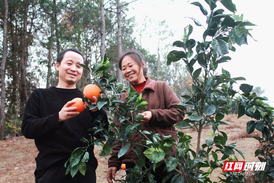 IMG_7504.JPG IMG_7504.JPG