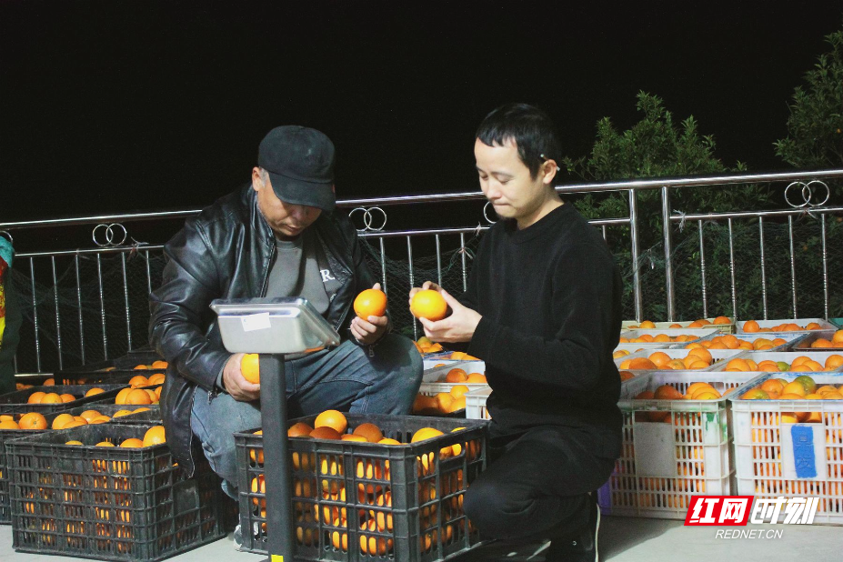 IMG_7544.JPG IMG_7544.JPG