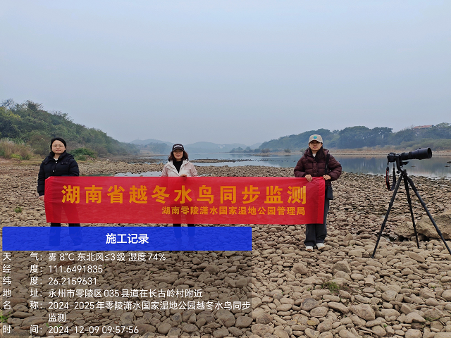 图片19.png