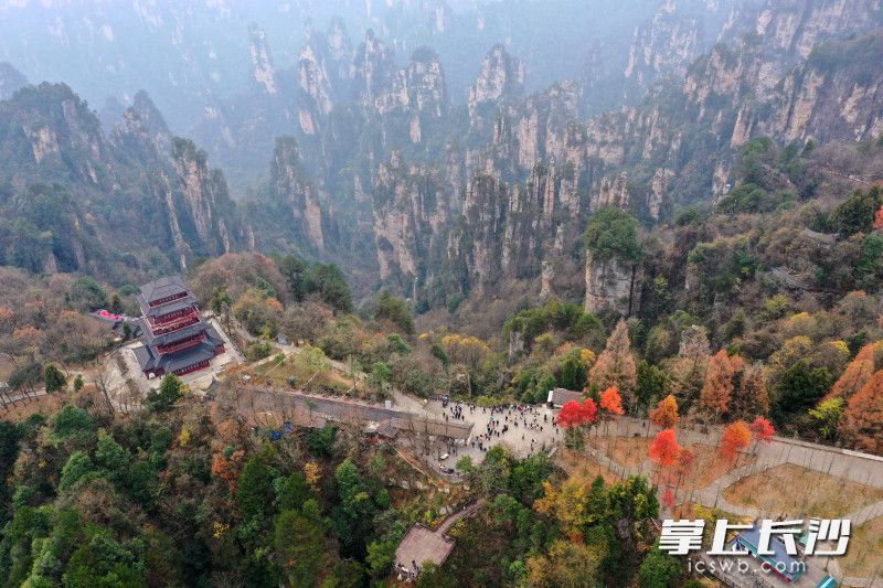 今日上午，众多游客在张家界国家森林公园天子山景区游览观景。 均为长沙晚报全媒体记者王志伟摄