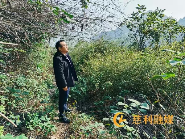 微信图片_20241211093024.jpg