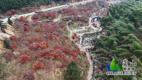 蓝山县：乡村变景区 小村“火出圈”1.jpg