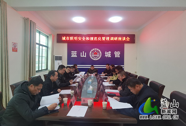 全省城市照明安全及规范化管理调研五组深入蓝山调研指导工作.jpg