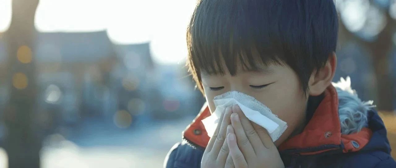 健康科普｜流感嗜血杆菌：可引起脑膜炎和肺炎，预防关键在这里！