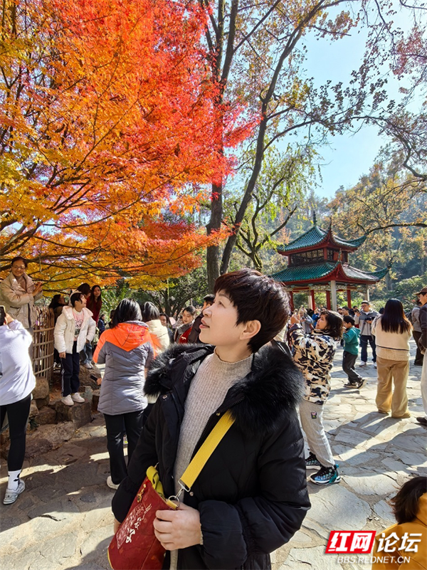 QQ20241215-163948_副本_副本.png