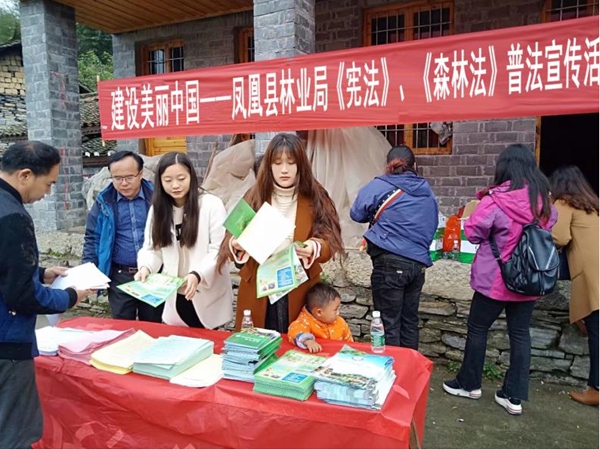 图片6.jpg