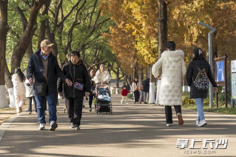 在湖南烈士公园，四处都是晒太阳的市民，人们在阳光下漫步。 均为长沙晚报全媒体记者周数邑摄