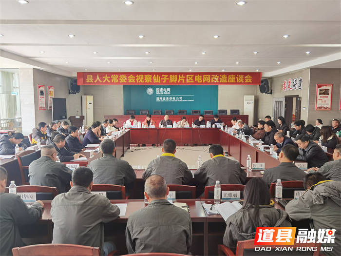 县人大常委会视察仙子脚片区电网改造1_副本.jpg