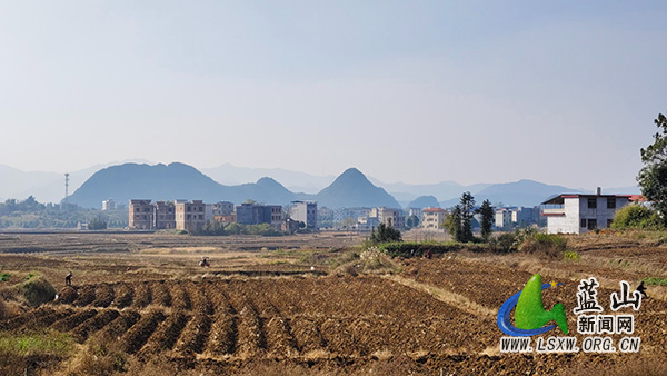 我县烟田翻耕起垄忙 绘就来年好“丰”景1.jpg